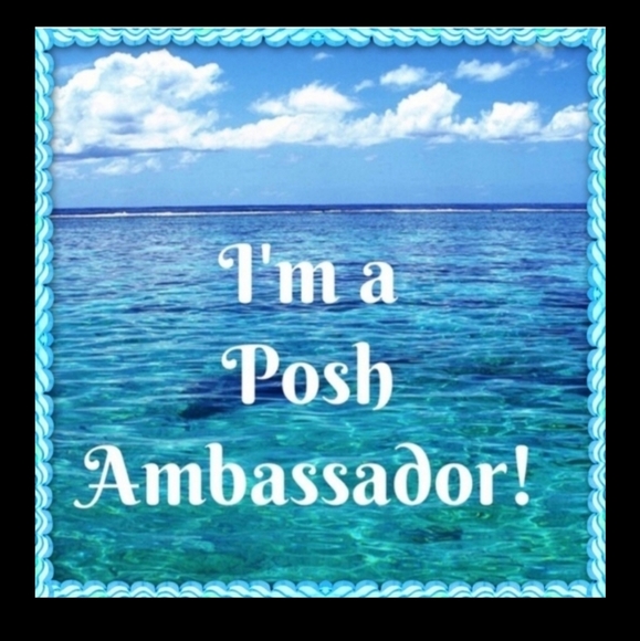 Trusted 5 🌟Seller Shop with Confidence!  Poshmark Ambassador II - Picture 4 of 9